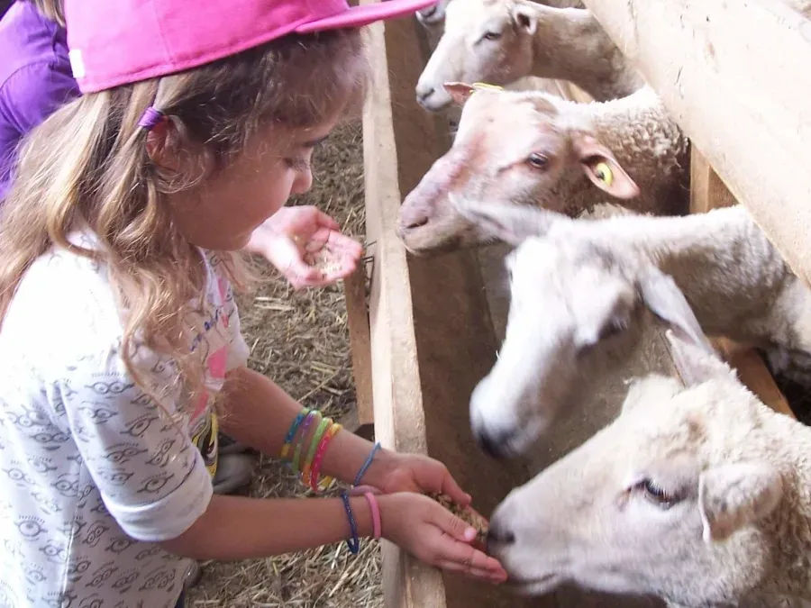 Ferme pédagogique de La Chapelle-du-Châtelard